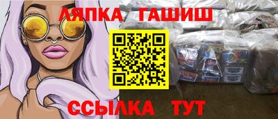 амф Можга