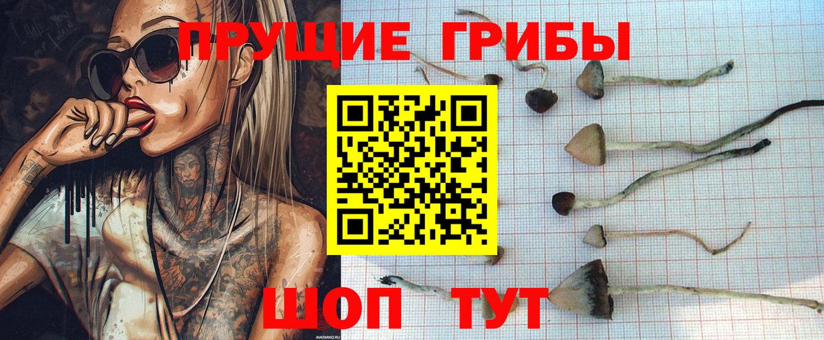 Узловая  Галлюциногенные грибы Cubensis  Галлюциногенные грибы Magic Shrooms  Вход с VPN 