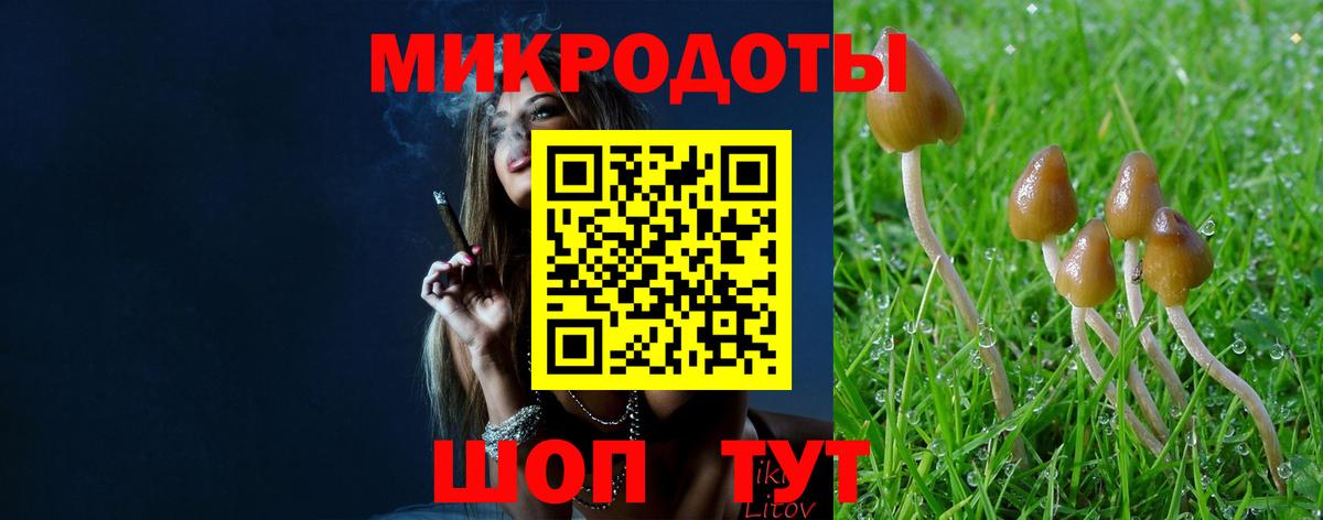 Псилоцибиновые грибы мицелий Узловая